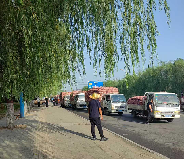 圖片2