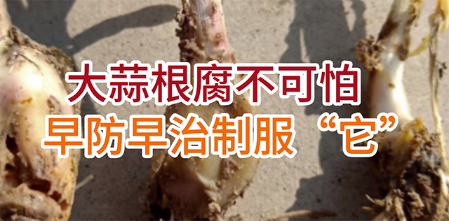 視頻講座
